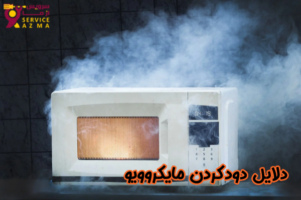 دود کردن مایکروویو